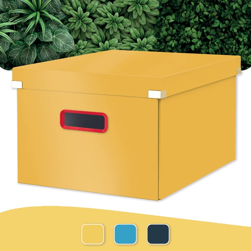 Leitz Click & Store Medium Storage Box, Foldable A4 File