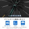 Umbrella, Rain or Shine, Parasol, Rain Umbrella, Folding Umbrella, Sturdy