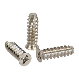 InLine 33371N Pack of 100 Fan Screws, 5 x 16 mm, Nickel-Plated