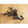 MIDWEST CRAFT HOUSE 6 Rustic Elk Deer Moose Head Hooks