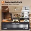 addlon Ceiling Fans with Lights, 42 inch Nickel Ceiling fan