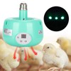 Pet Heating Light Durable Cultivation Heating Light for Chicks for