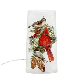 Cottage Garden Stony Creek Birds of Winter Pre-Lit Frosted Glass 10 x 5.5 Tabletop Christmas Vase
