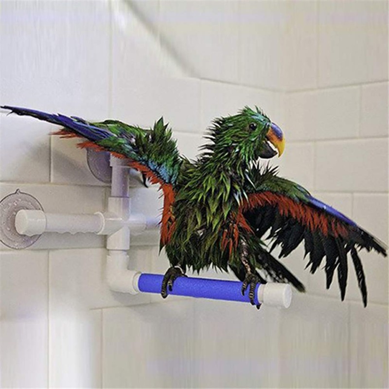 Litewood Bird Shower Perch Portable Suction Cup Parrot Window Wall