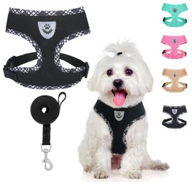 BINGPET Adjustable Dog Vest Harness and Leash Set,No Pull & No Choke Reflective Dog Harness with Padded,Lightweight All Weather Step-in Mesh Breathable Vest Harness for Small and Medium Dogs(Black,S)