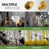 HONSNKS 4 PCS Brass Pipe Fitting 3/8" NPT Female Thread