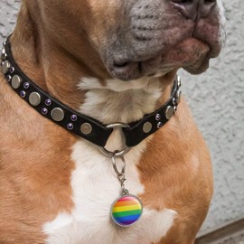 GRAPHICS & MORE Rainbow Pride Gay Lesbian Contemporary Chrome Plated Metal Pet Dog Cat ID Tag