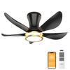 DAMINY 30 Inch Black and Gold 5 Blade Ceiling Fan