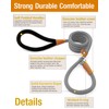 lynxking 5 FT Dog Leash Slip Lead 2 Pack Strong