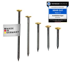 RIKAMA® 100 Picture Nails, Steel Nails for Use on Concrete, Brick, Plaster & Wood, Hardened Steel Nails as Picture Hanging, Made in Germany (Golden Head, Mix of 100)