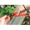 Werknorm Saar Meran 180.1 Reading Shears, Harvesting Shears, Garden Shears,