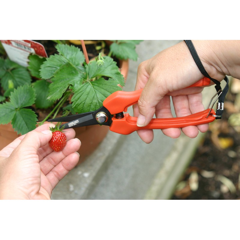 Werknorm Saar Meran 180.1 Reading Shears, Harvesting Shears, Garden Shears,