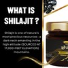 Nature Blaze Himalayan Shilajit Resin (30 Gm / 1.0 Oz)