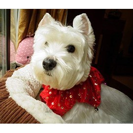 Lanyar Bling Pet Holiday Accessories Cat Dog Christmas Collar with Bells, Red