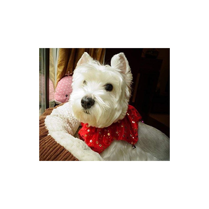 Lanyar Bling Pet Holiday Accessories Cat Dog Christmas Collar with