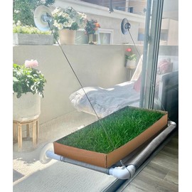 Kitty Lawn Window Lounge Kit – Real Grass Enrichment for Cats, Sleek Design for Home Aesthetics, Perfect for Window