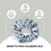 SILKLAB 22 Momme 100% Mulberry Silk Scrunchies (2 Pack, Black),