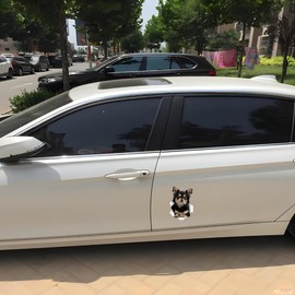 Chihuahua Auto-Aufkleber, Schwarzer Chihuahua 3D Durchbruch-Effekt, Wasserfester Vinyl-Aufkleber für Auto, Laptop, Kühlschrank, Stoßstange, Fenster (25cm/9.8 Inch)