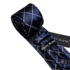 Barry.Wang Men's Silk Business Ties with Handkerchief, Cufflink Stripes Plaid