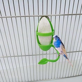 Large Cuttlefish Bone with Holder Plastic Cuddle Bone Feeding Racks Parrot Cage Stands Accessories for Parakeets Budgies Finches Birds Cockatiels Turtles Tortoise Snails for Pet Bird