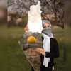 Palestine Map Mirror Acrylic Unbreakable Long Wall Mirror - Unique