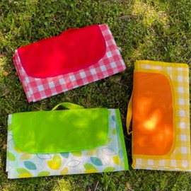 Portable Mini Picnic Mat for One Person (Kids/Elementary) Mat L/Yellow Check 2ea