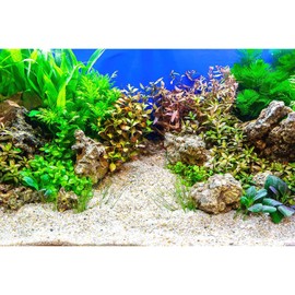 Riivvdise Aquarium Background Underwater Grass Leaves with Pebble Aquarium Backdrop Vivid and Fresh Green Aquatic Plant Stone River Bed and Lake Fish Tank Background Decor Vinyl 30x18in