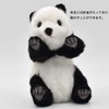 Sitting Panda Limited Edition