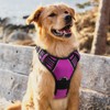 rabbitgoo Dog Harness for Large Dogs, No Pull Pet Vest