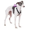 LufeLux Non-Restrictive Easy Walk Freedom No Pull Dog Harness, Keep