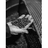 Bristot 100% Arabica Coffee Capsules – Medium Roast – Compatible