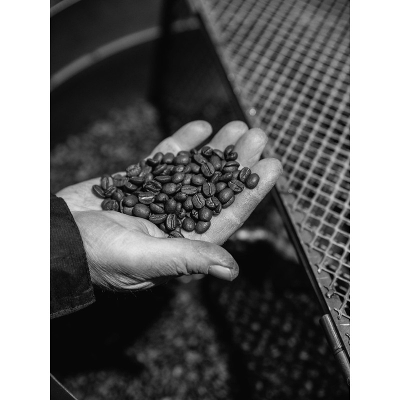 Bristot 100% Arabica Coffee Capsules – Medium Roast – Compatible