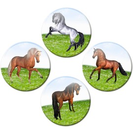 Fridge Magnets Horses Gift Set of 4 Horse Motif Magnets Funny for Magnetic Board Children Strong Large Diameter 50 mm