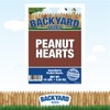 Backyard Seeds Peanut Hearts for Wild Birds 10 Pounds