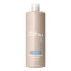 Paul Mitchell Champú Hidratante Instantáneo, Hidrata el Cabello Seco, 1