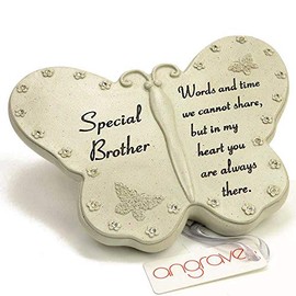 Angraves Special Brother Diamante Butterfly Graveside Grave Memorial Plaque Ornament