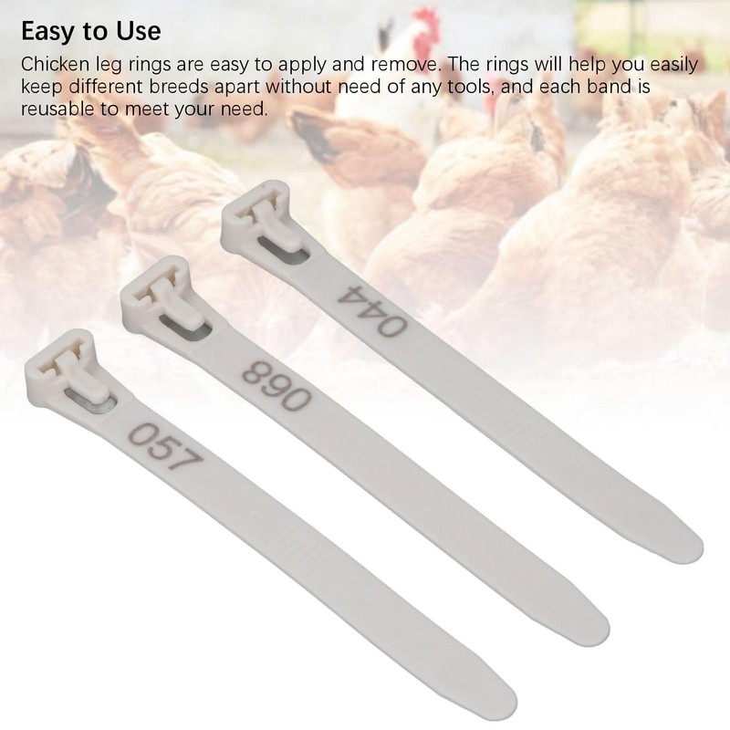 Generic Chicken Leg Rings, 1 to 100 Numbered Poultry Identification