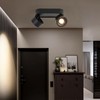 Budbuddy 2 x 12 W LED Ceiling Light Spotlight Black