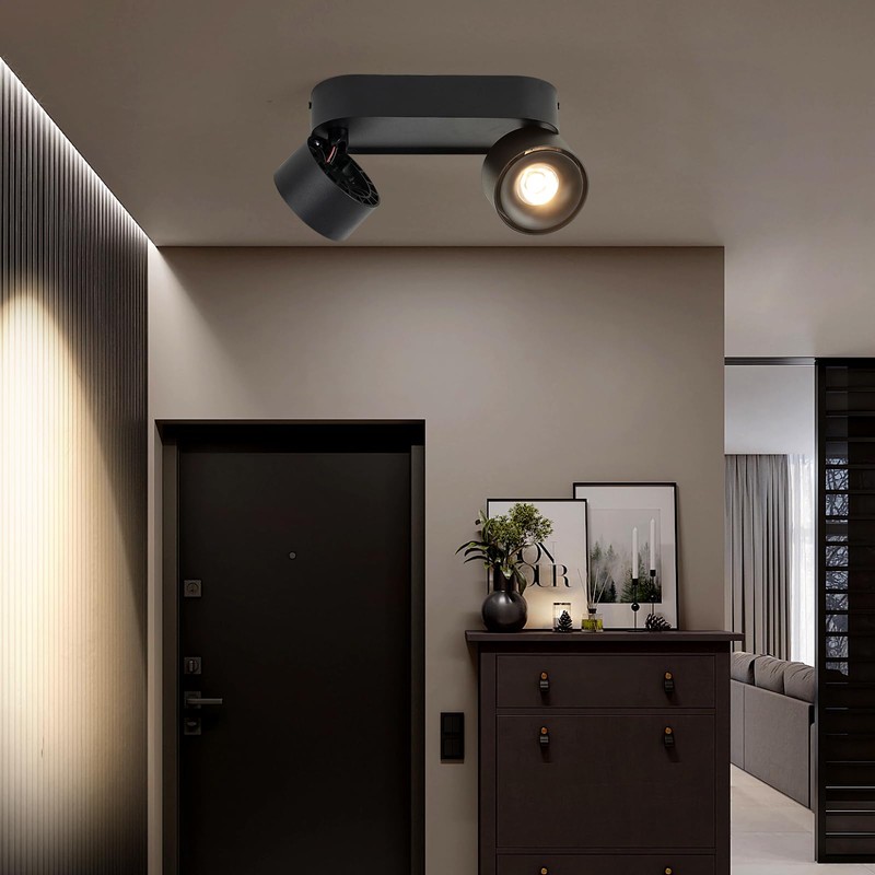 Budbuddy 2 x 12 W LED Ceiling Light Spotlight Black