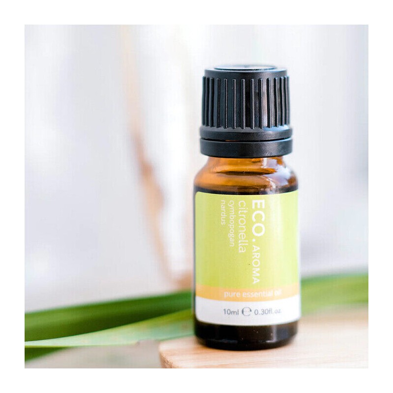 ECO. Modern Essentials Citronella Pure Essential Oil, 10ml