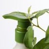 Aromatica Eucalyptus Body Care Set: Refreshing and Calming from Shower