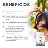 BIO B ǀ Zinc 20 Plus ǀ 90 Cápsulas Veganas