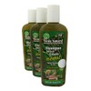 VERDE NATURAL - Shampoo Herbal Anti Caída - 3 botellas