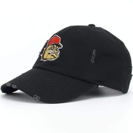 JLGUSA Bulldog Embroidery Dad Hat Baseball Cap Unconstructed (DST Black)