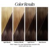 Adore Semi Permanent Hair Color (106 Mahogany) | Vegan &