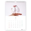 Today's Bunko Calendar A4 Wall-hanging Type 2026 Starting in January