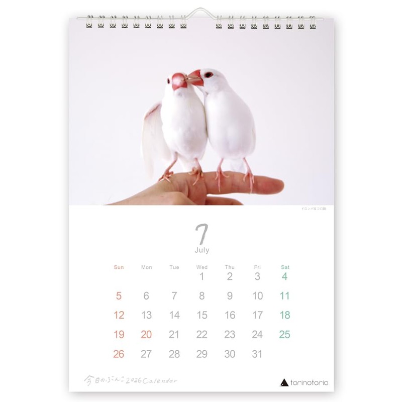 Today's Bunko Calendar A4 Wall-hanging Type 2026 Starting in January