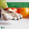 Elixir Gardens Citric Acid Fine Grade | 100% Anhydrous GMO