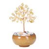Jovivi Citrine Crystal Trees Gemstone Healing Crystals Money Tree Bonsai