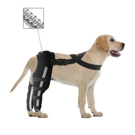 Double Dog Knee Brace for Torn Acl Hind Leg, Double Dog Leg Braces for Back Leg for Support,Acl Brace for Dogs, Built-In Hard Metal Spring Support,Outer Night Reflective Strip,Adjustable Strap (Small)